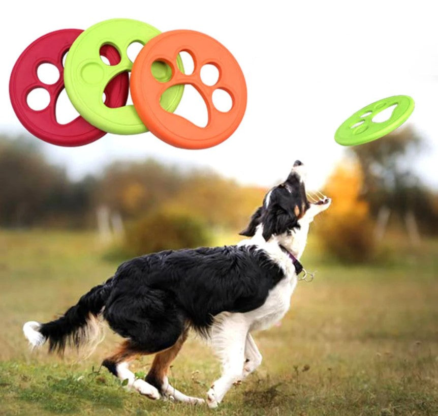 FRISBEE PARA PERRO