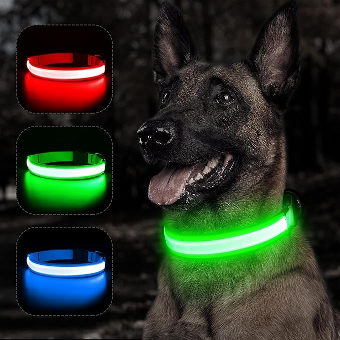 COLLAR LUMINOSO LED RECARGABLE