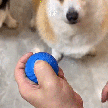 SMARTBALL JUGUETE PARA MASCOTAS
