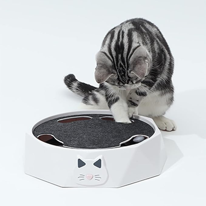 TOCADISCOS ELÉCTRICO PARA GATOS