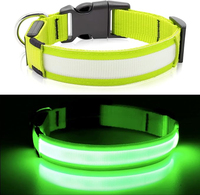 COLLAR LUMINOSO LED RECARGABLE