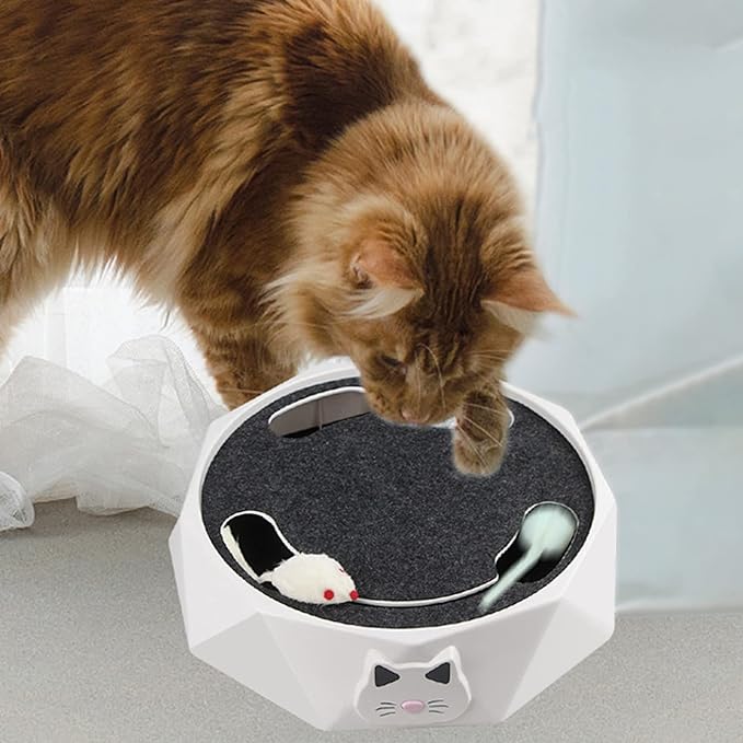TOCADISCOS ELÉCTRICO PARA GATOS