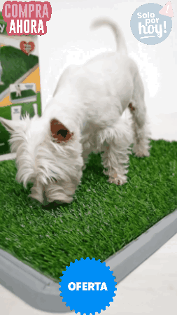 BAÑO PARA MASCOTAS XL