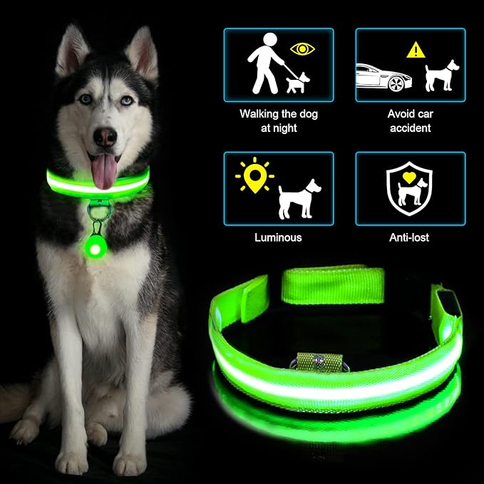 COLLAR LUMINOSO LED RECARGABLE